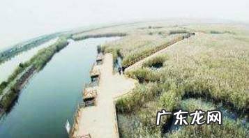 东营黄河口湿地公园一日游攻略
