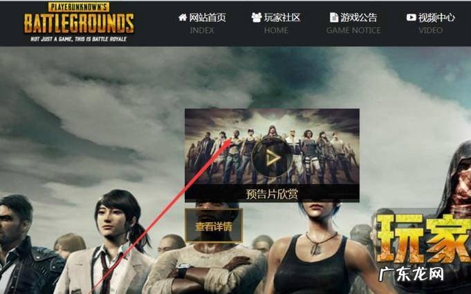 王者荣耀不让别人看自己的历史战绩