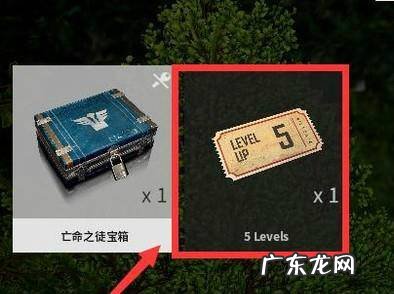 绝地求生升级卡购买后在哪儿怎么使用