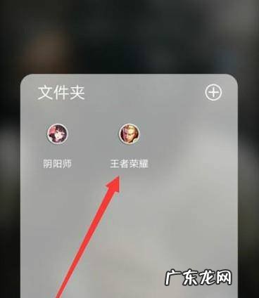 王者荣耀怎么查看金币使用记录