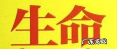 动员社会力量救援登山遇险人员值得吗