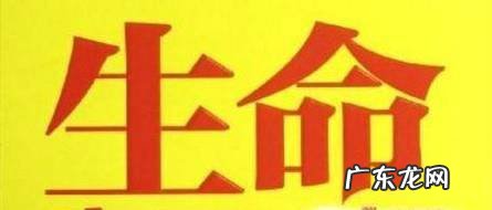 动员社会力量救援登山遇险人员值得吗