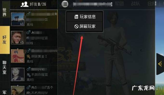 刺激战场如何对好友隐身登录