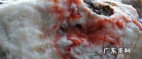 常见假化石的识别与鉴定怎样辨别化石方法