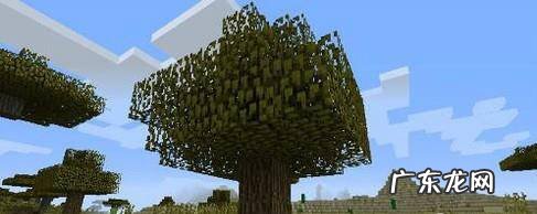 我的世界苹果怎么获得