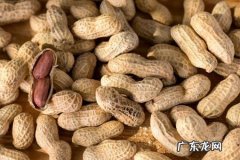 花生一斤多少钱？2022花生市场价多少？看看就知道啦