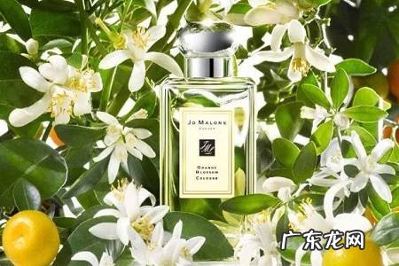 女人必备香水有哪几款