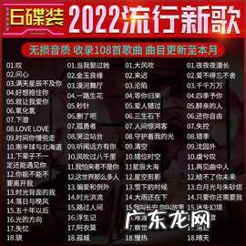 2022年新歌曲大全100首流行歌曲,你最爱哪一首?