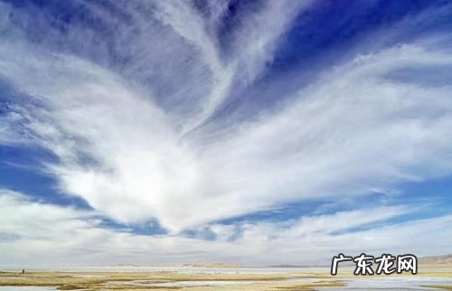 风云变幻比喻什么生肖 风云变幻是什么意思