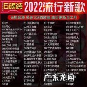 新歌曲2022：最好听的歌,最流行歌曲!