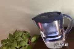 怎么去水壶里面的水垢 滤水壶如何清洁保养