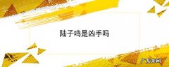 陆子鸣是凶手吗