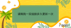 请赐我一双翅膀多久更新一次