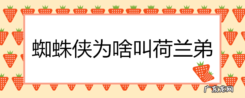 蜘蛛侠为啥叫荷兰弟
