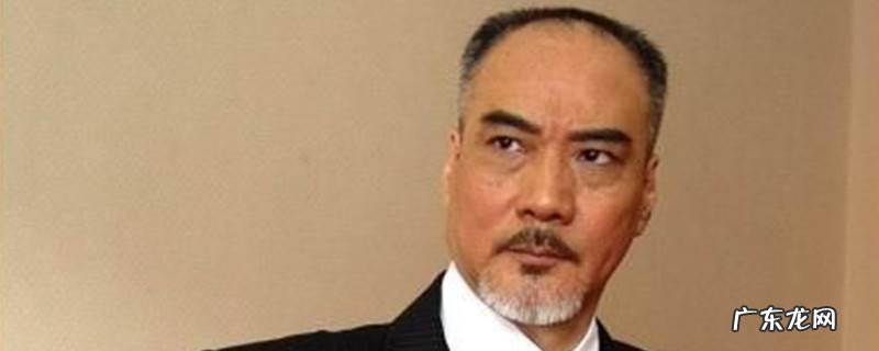 碧血青天杨家将的演员