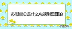 苏珊唐总是什么电视剧里面的
