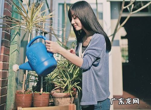 外表甜美的星座女 12星座女都是哪种家庭主妇