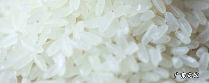 大米夏天怎样保存不生虫,大米夏天怎样保存不生虫害