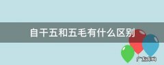 自干五和五毛有什么区别,自干五是啥