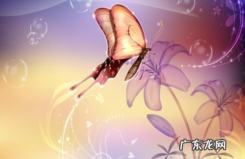 苏东坡蝶恋花词春景 《蝶恋花·春景》表达了什么意思