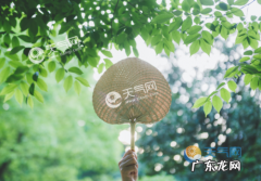 夏季是几月到几月？夏季是4月到9月,你知道吗!