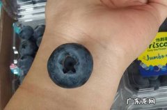 蓝莓榨汁会破坏花青素吗 蓝莓榨汁会破坏维生素吗
