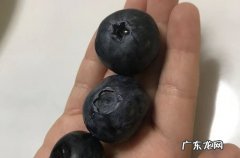 蓝莓一次吃了两盒有事吗 蓝莓一天吃多少合适