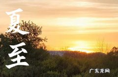 夏至发给客户的暖心问候语 夏至发给顾客养生短信