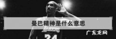 美国准备复活科比是真的吗 曼巴精神是什么意思
