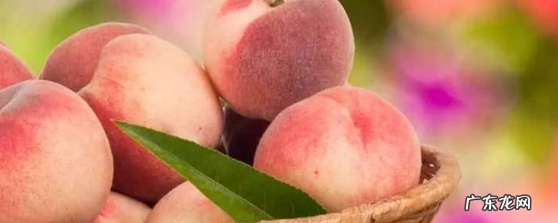 如何保存桃子,如何保存桃子到冬季食用