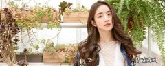 圆脸可以变瓜子脸吗