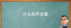 什么叫开全麦,全开麦百度百科