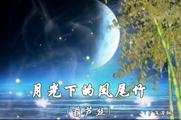 最悠扬的十首纯音乐:让人心醉神迷!