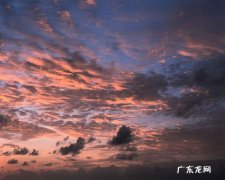适合晚霞的背景音乐推荐夕阳无限好,只是近黄昏下面就一起来了解一下吧!