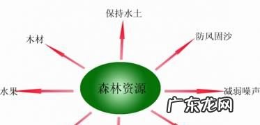 认识植物的意义和作用 植物在自然界的作用