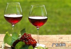 喝不完的红酒妙用 红酒过期了有什么用途
