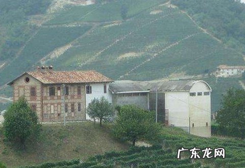 世界十大顶级洋酒品牌 意大利四大名酒