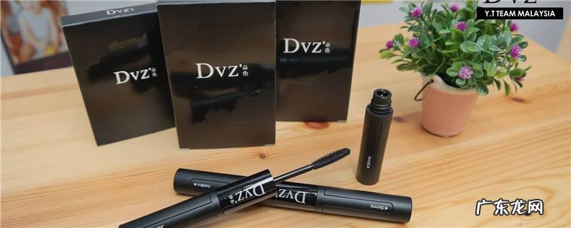 dvz朵色是大品牌吗