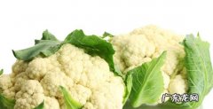 冷棚花菜什么时候种植 什么季节种花菜成活率高