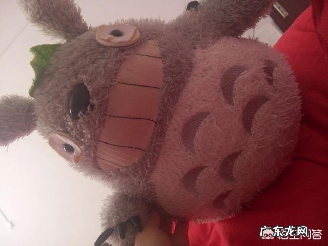 有没有一部关于猫的动漫 说起动漫中的猫你会想到哪只呢