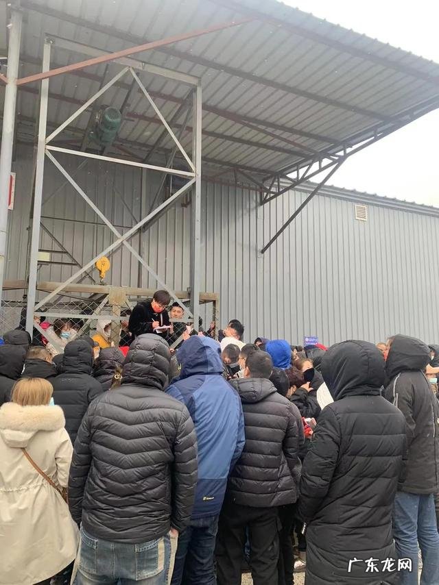 新到车厘子果商一拥而上疯狂抢货