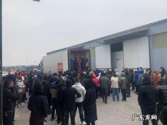 新到车厘子果商一拥而上疯狂抢货