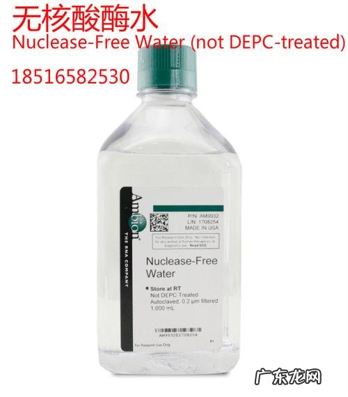 dd水和rnafree水有什么区别？看完你就知道了!
