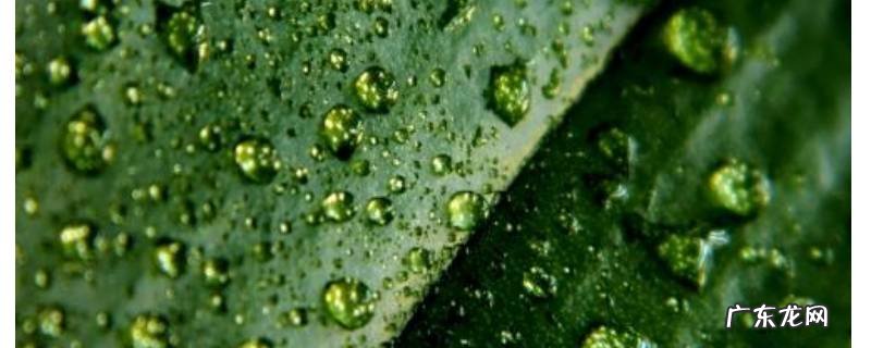 梅雨季节地面潮湿怎么办,梅雨季节地面潮湿的原因