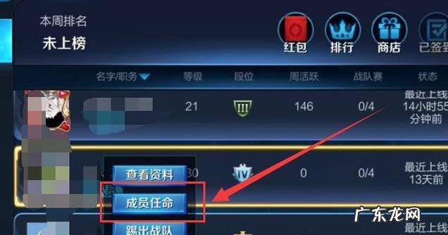 王者荣耀的战队精英怎么获取