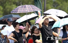 今年厦门过年冷不冷 2022年2月份的厦门冷不冷
