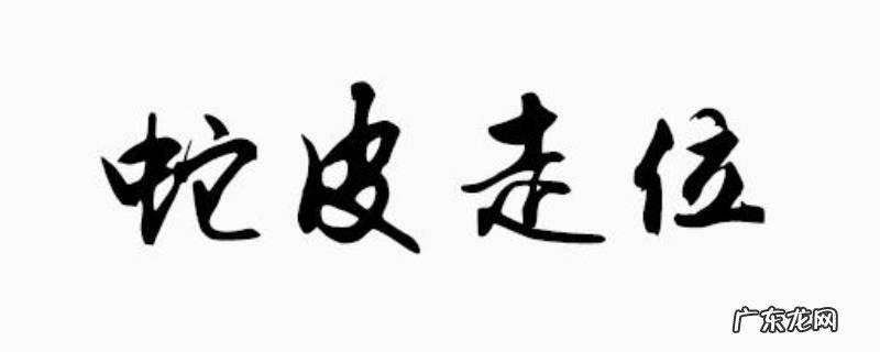 蛇皮走位是什么意思,走位都特么的蛇皮位