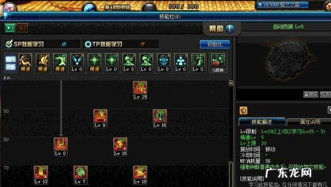 DNF90帕拉丁破晓女神辅助刷图加点