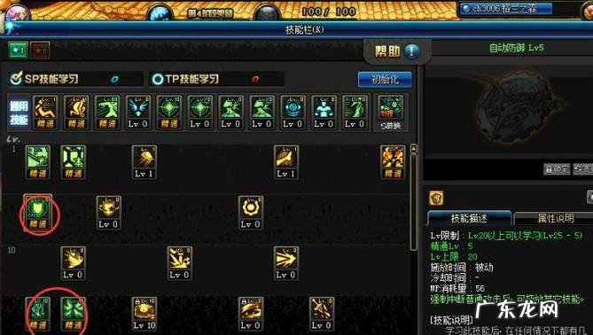 DNF90帕拉丁破晓女神辅助刷图加点