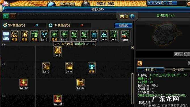 DNF90帕拉丁破晓女神辅助刷图加点